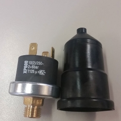 Pressure Switch- 0806056